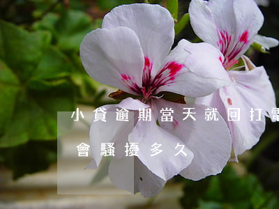 小貸逾期當天就回打電話騷擾么-小貸催款會騷擾多久