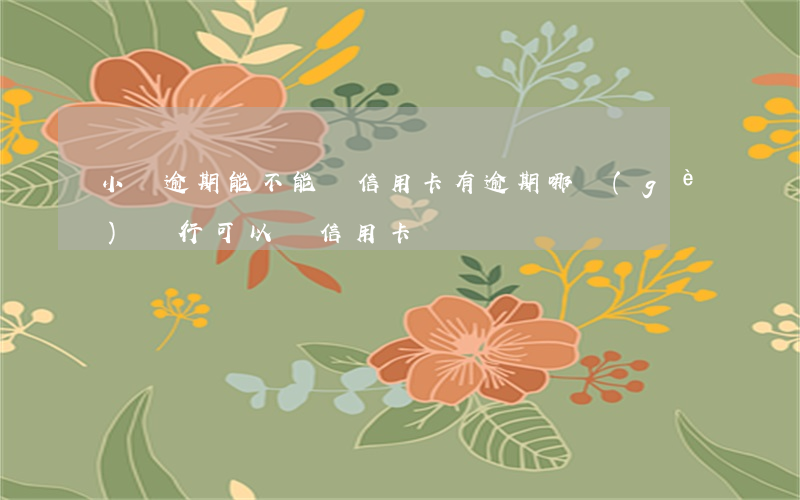 小貸逾期能不能辦信用卡(有逾期哪個(gè)銀行可以辦信用卡)