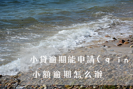小貸逾期能申請(qǐng)信用卡(信用卡小額逾期怎么辦)