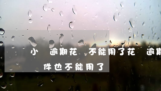 小貸逾期花唄不能用了(花唄逾期后其他借貸軟件也不能用了)