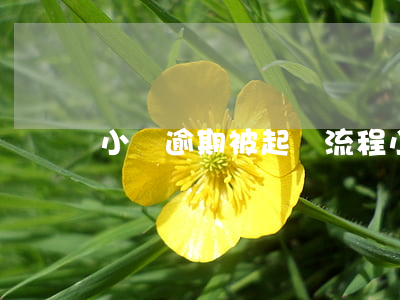 小貸逾期被起訴流程(小貸逾期被起訴流程)