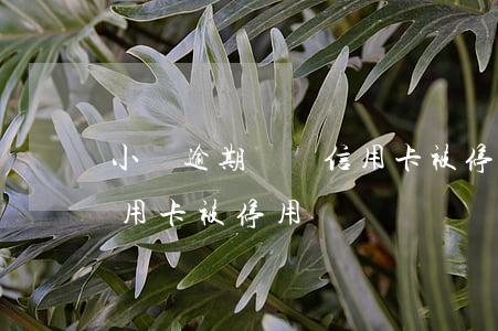 小貸逾期記錄信用卡被停用(小貸逾期記錄信用卡被停用)
