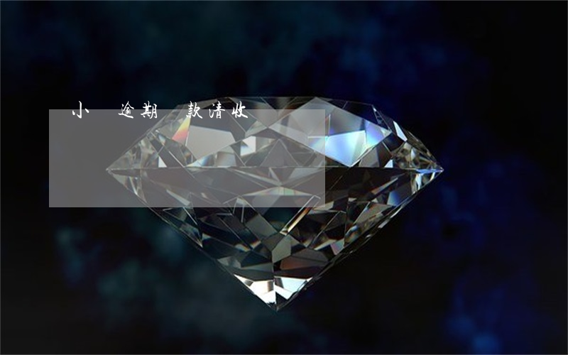 小貸逾期貸款清收