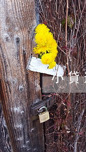 小貸逾期起訴怎么辦(小額貸款逾期怎么處理)