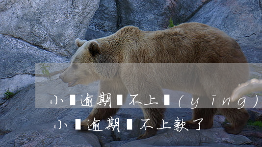小貸逾期還不上應(yīng)該怎么解決（小貸逾期還不上款了）
