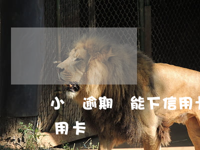 小貸逾期還能下信用卡(貸款逾期還能辦理信用卡嗎)