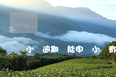 小貸逾期還能申請(小貸有逾期能貸款嗎)
