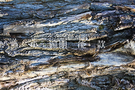 小貸逾期還能貸款嗎(貸款逾期還能貸款嗎)