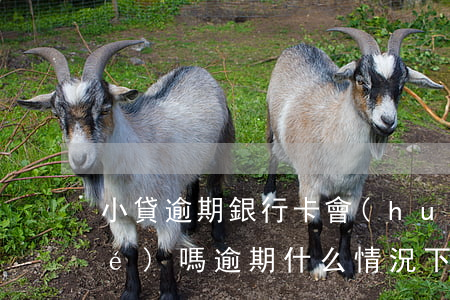 小貸逾期銀行卡會(huì)被凍結(jié)嗎(逾期什么情況下會(huì)被凍結(jié)銀行卡)
