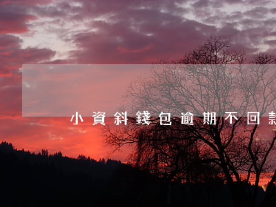 小資斜錢包逾期不回款-小資錢包上征信嗎