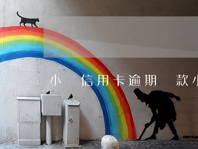 小贏信用卡逾期還款（小贏信用卡逾期還款）