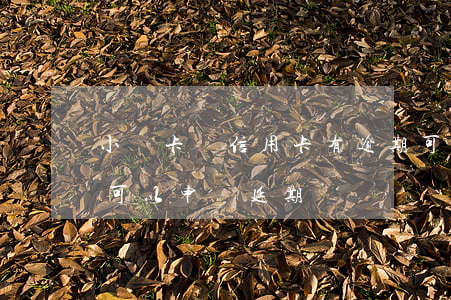 小贏卡貸信用卡有逾期可以申請嗎(小贏卡貸可以申請延期嗎)