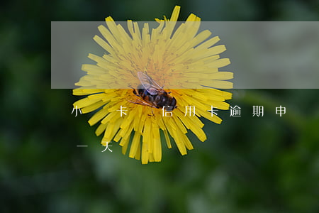 小贏卡貸信用卡逾期申請嗎(小贏卡貸款逾期一天)