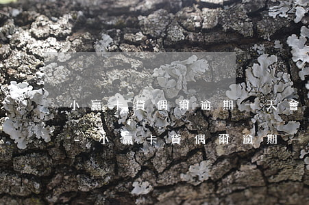 小贏卡貸偶爾逾期一天會(huì)怎么樣-小贏卡貸偶爾逾期一天會(huì)怎么樣嗎