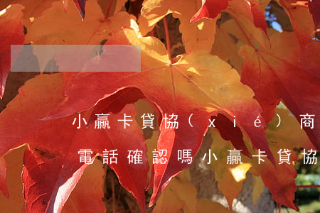 小贏卡貸協(xié)商二次分期成功后打電話確認嗎（小贏卡貸協(xié)商二次分期）