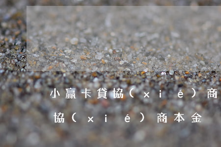 小贏卡貸協(xié)商還款延期(小贏卡貸協(xié)商本金)