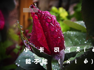小贏卡貸可協(xié)商還款嗎(小贏卡貸能不能協(xié)商)