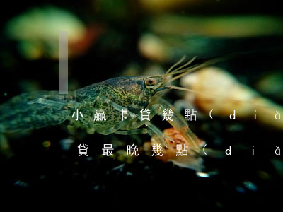 小贏卡貸幾點(diǎn)算逾期-小贏卡貸最晚幾點(diǎn)放款
