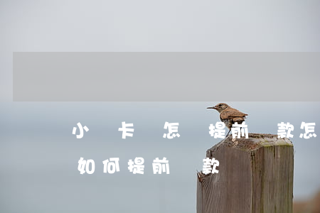小贏卡貸怎樣提前還款怎么操作-小贏卡貸如何提前還款