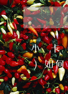小贏卡貸提前還款手續(xù)費(fèi)如何減免-小贏卡貸提前還款手續(xù)費(fèi)如何減免的