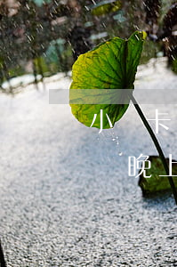 小贏卡貸晚上11點還款算逾期嗎-小贏卡貸晚上11點還款算逾期嗎怎么辦