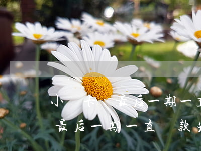 小贏卡貸最后一期一直還款失敗-小贏卡貸最后一期一直還款失敗怎么回事