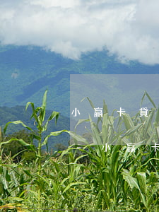 小贏卡貸會逾期可以協(xié)商還款嗎-小贏卡貸會逾期可以協(xié)商還款嗎