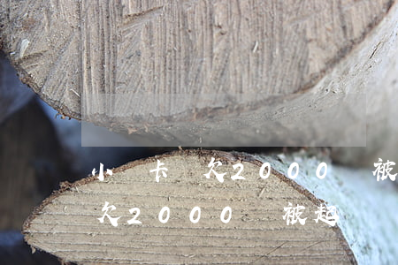 小贏卡貸欠2000會被起訴嗎-小贏卡貸欠2000會被起訴嗎知乎