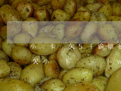 小贏卡貸欠5千逾期多久會(huì)起訴(欠小贏卡貸兩萬(wàn)逾期三個(gè)月了會(huì)起訴嗎)