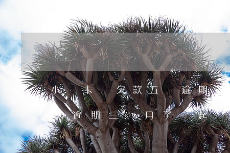小贏卡貸欠款五萬逾期三月了(欠小贏卡貸兩萬逾期三個月了會起訴嗎)