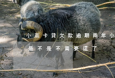 小贏卡貸欠款逾期兩年(小贏卡貸逾期一年了是不是不需要還了?)