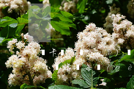小贏卡貸每個(gè)還款日都有寬限期嗎-小贏卡貸每個(gè)還款日都有寬限期嗎是真的嗎