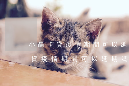小贏卡貸疫情期間可以延遲還款嗎-小贏卡貸疫情期間可以延期嗎