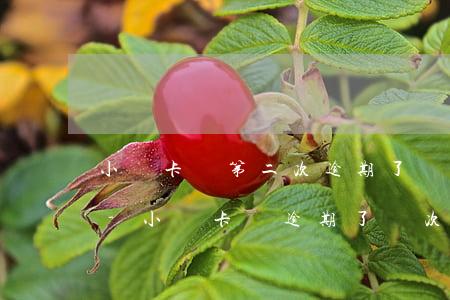 小贏卡貸第二次逾期了會(huì)怎么樣-小贏卡貸逾期了幾次,還完還能借出來(lái)不