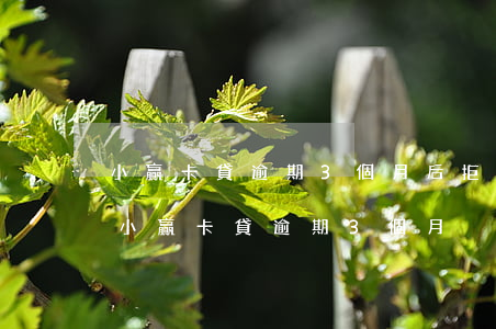 小贏卡貸逾期3個月后拒接電話后果嚴重嗎（小贏卡貸逾期3個月）