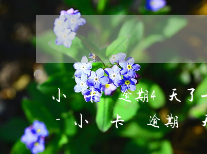 小贏卡貸逾期4天了一天一個(gè)電話-小贏卡貸逾期兩天會(huì)打電話給家里嗎?