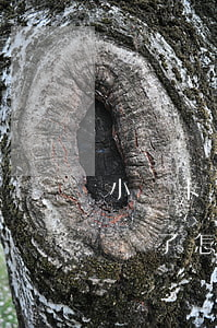 小贏卡貸逾期一年多了實(shí)在沒錢還了怎么辦-小贏卡貸可以協(xié)商延期還款嗎