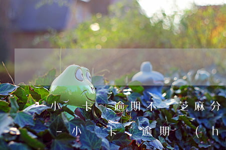 小贏卡貸逾期不還芝麻分會(huì)掉嗎-小贏卡貸逾期會(huì)影響支付寶嗎