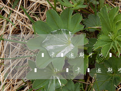 小贏卡貸逾期可以協(xié)商只還本金嗎-小贏卡貸逾期可以協(xié)商只還本金嗎