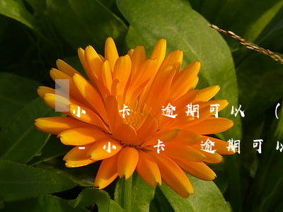 小贏卡貸逾期可以協(xié)商還本金嗎-小贏卡貸逾期可以協(xié)商還本金嗎