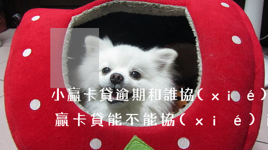 小贏卡貸逾期和誰協(xié)商還款-小贏卡貸能不能協(xié)商還款