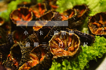 小贏卡貸逾期四個月兩萬多(欠小贏卡貸兩萬逾期三個月了會起訴嗎)