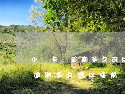 小贏卡貸逾期多久可以提前還款-小贏卡貸逾期多久可以提前還款一次