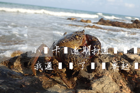 小贏卡貸逾期打通訊錄違法嗎-小贏卡貸爆我通訊錄了,還說要起訴我