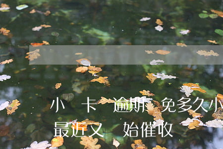 小贏卡貸逾期減免多久(小贏卡貸逾期一年了,最近又開始催收)