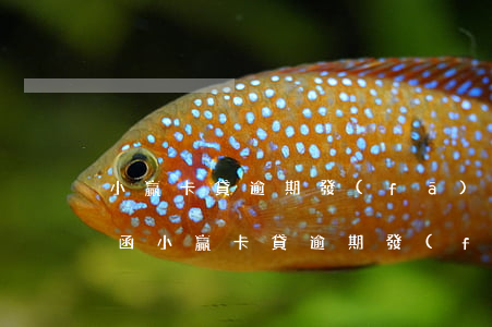 小贏卡貸逾期發(fā)來(lái)律師函(小贏卡貸逾期發(fā)來(lái)律師函)