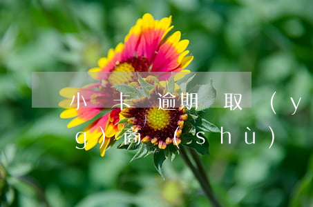 小贏卡貸逾期讀取運(yùn)營(yíng)商數(shù)據(jù)嗎-小贏卡貸逾期讀取運(yùn)營(yíng)商數(shù)據(jù)嗎有影響嗎