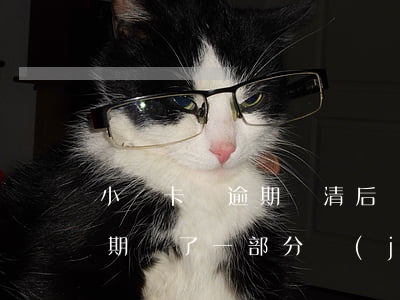 小贏卡貸逾期還清后還可以借嗎(小贏卡貸逾期還了一部分進(jìn)去還去還會暴力催收嗎)