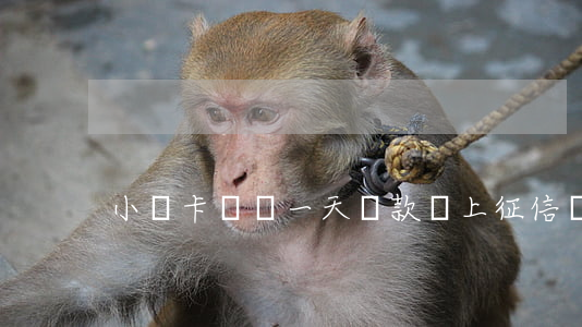小贏卡貸遲一天還款會上征信嗎-