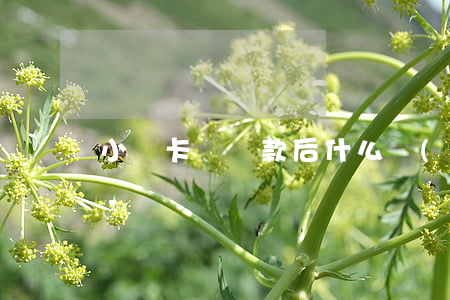 小贏卡貸還款后什么時(shí)候能再貸-